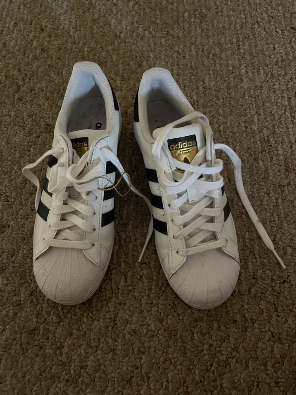 Adidas Superstar White and Black Shell-Toe Sneakers